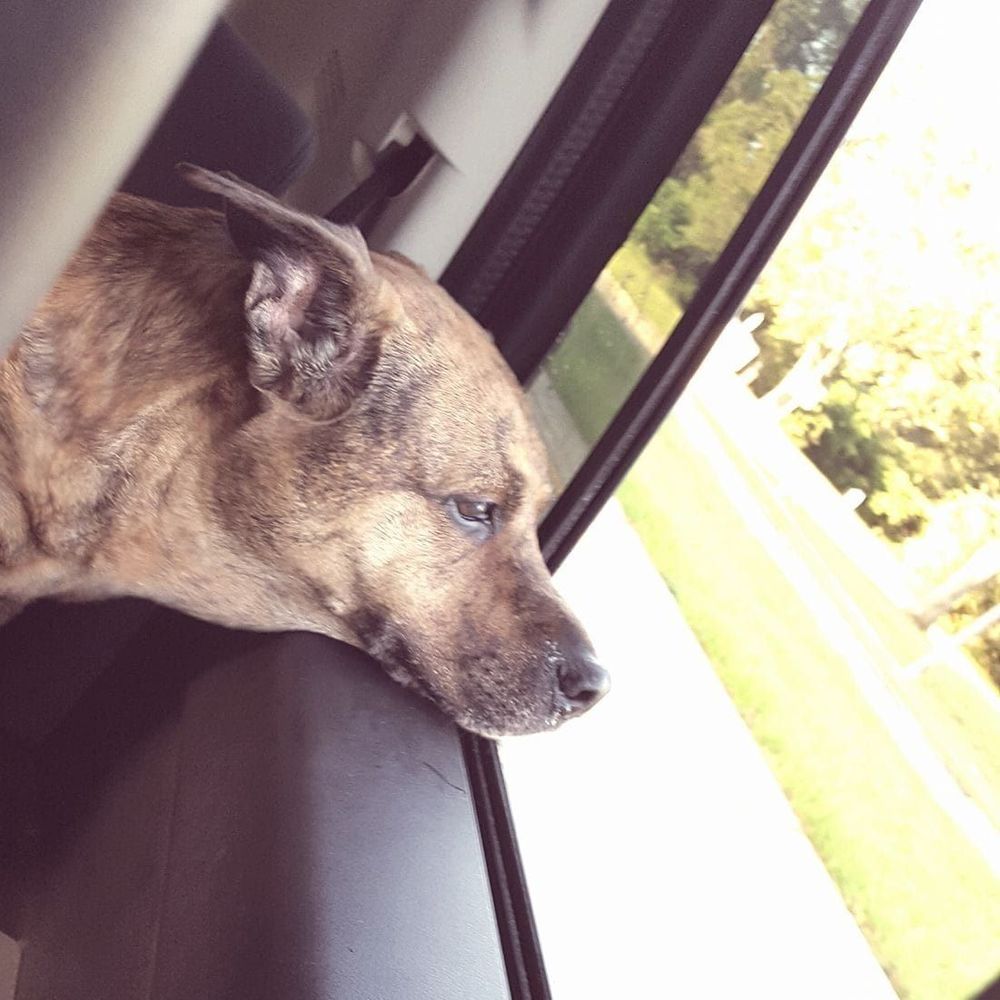 Meet your Posher, Nicte'